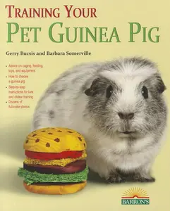 USED-Training Your Pet Guinea Pig by Bucsis, Gerry (Paperback)