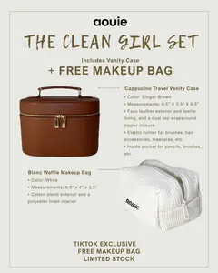 Viral Travel Makeup Bag Set (Vanity Case + FREE Makeup Bag) | Aesthetic Organizer for Travel & Daily Use