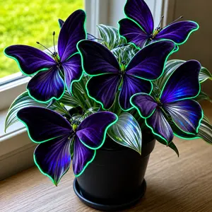 Viral Purple Butterfly Hosta Seeds 1000+ | Perfect for Beginner Gardeners