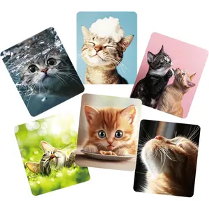 Microfiber Glasses Cleaner Cloth,Cute  Cleaning Clothes for Eyeglass,Phone, Screens, Camera Lens -6pcs