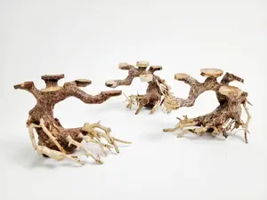 Flat-Top Nano Aquarium Driftwood Bonsai Tree Handcrafted for Terrarium Aquarium Planted Tank Fish Shrimp Terrarium Decor Aquarium Wood