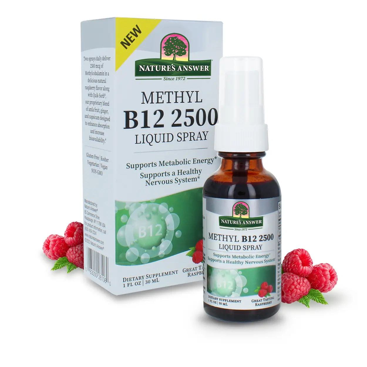 Nature's Answer Methyl B12 Spray 2500mcg | Cardiovascular, Immune and Nervous System Support | Energy and Metabolism Support | Gluten Free | Vegan | Non-GMO