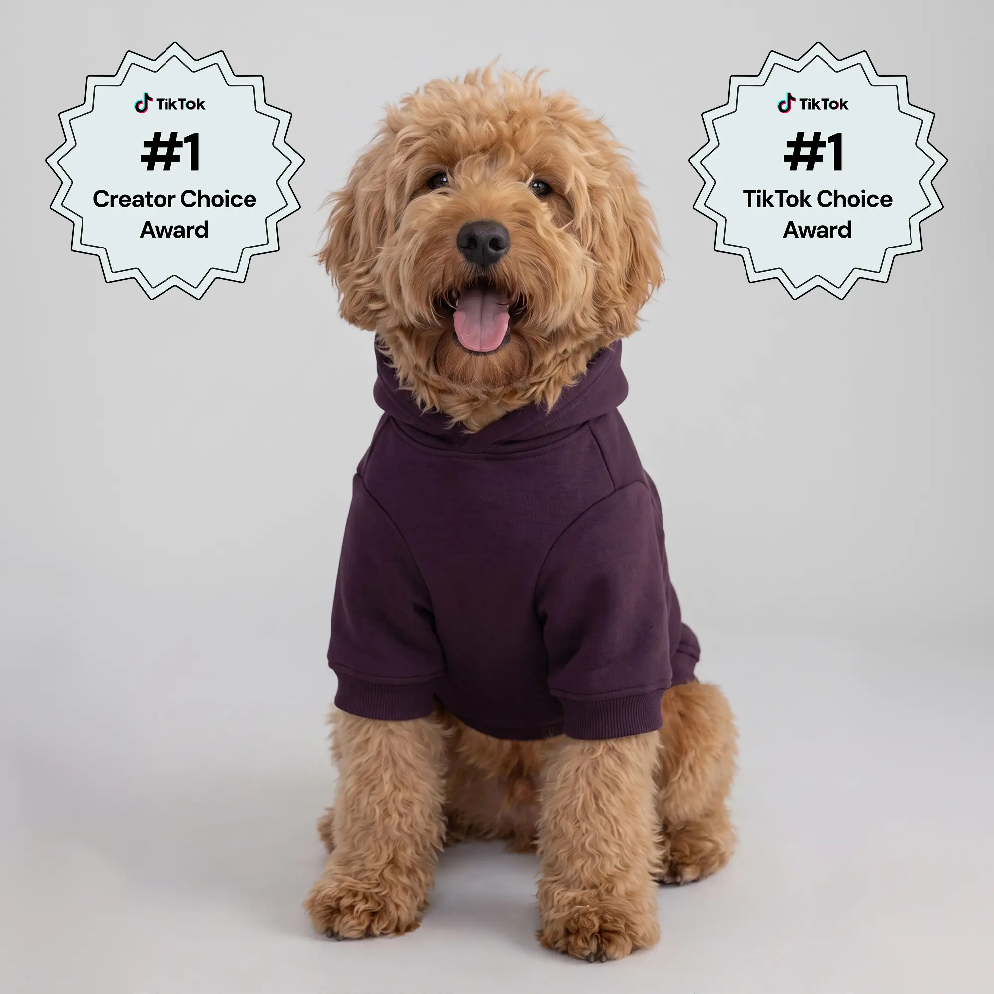 Comfrt Paws | Minimalist Hoodie | Soft Pet Matching Hoodie Puppy