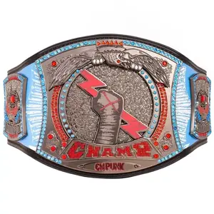 Cm Punk Signature 434 Days Record Signature Spinner Champion Ship Replica Title Wrestling belt 4mm wirh belt cover and wall mount