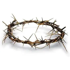 Authentic Biblical Lifesize 8" Crown of Thorns w/ Certificate