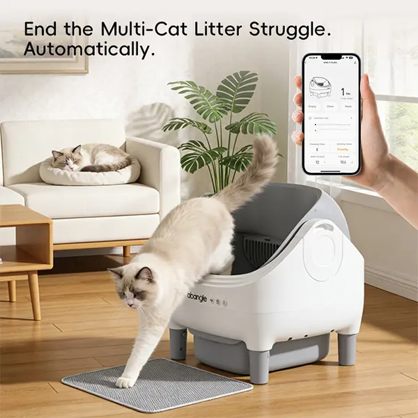Obangle open-style smart litter box features app control, odor control, and safety features, eliminating the need for manual cleaning.