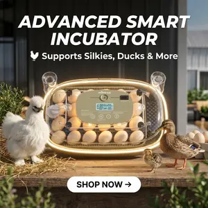 Smart Farm-Grade Automatic Egg Incubator by NuzzleBox - 12/24 Capacity, Self-Refilling Water System, Digital Humidity Control, Digital Temperature Control, LED Egg Candler (for Poultry Farm Supplies)