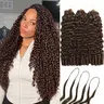 【New Color】Asakiss #4 Chocolate Brown Crochet Human Hair Burmese Curly Highlight Honey Blonde 99J Crochet Human Hair for Miracle Knots Knotless Pre-Separated 50g/Pack 40 Strands/Pack Time-Saving 4-5 Packs for Full Head Summer Vacation Protective Styles