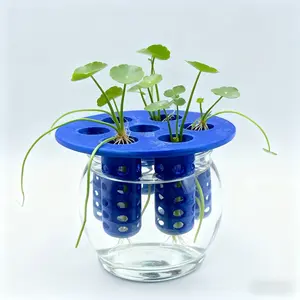 Garlic and Onion Home Gardening DIY Kit, Aquaponic Plants Growing, 3D Printing Mold, Perfect for Indoor Gardeners