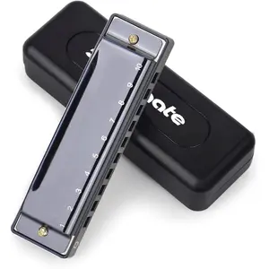 Blues Harmonic Mouth Organ 10 Hole 20 Tones C Key with Case Diatonic Harmonica for Beginner, Students, Professional Player, Adult, Friends,  Black
