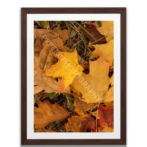 Autumn pallet photo print