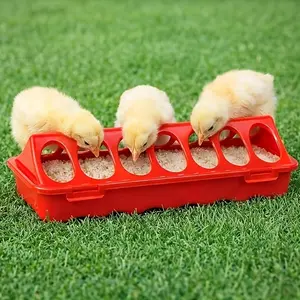 Chicken Feeding Tray, Plastic Lid Poultry Feeder, Leak-Proof Feeder for Chicks and Quails, Ideal for Small Birds