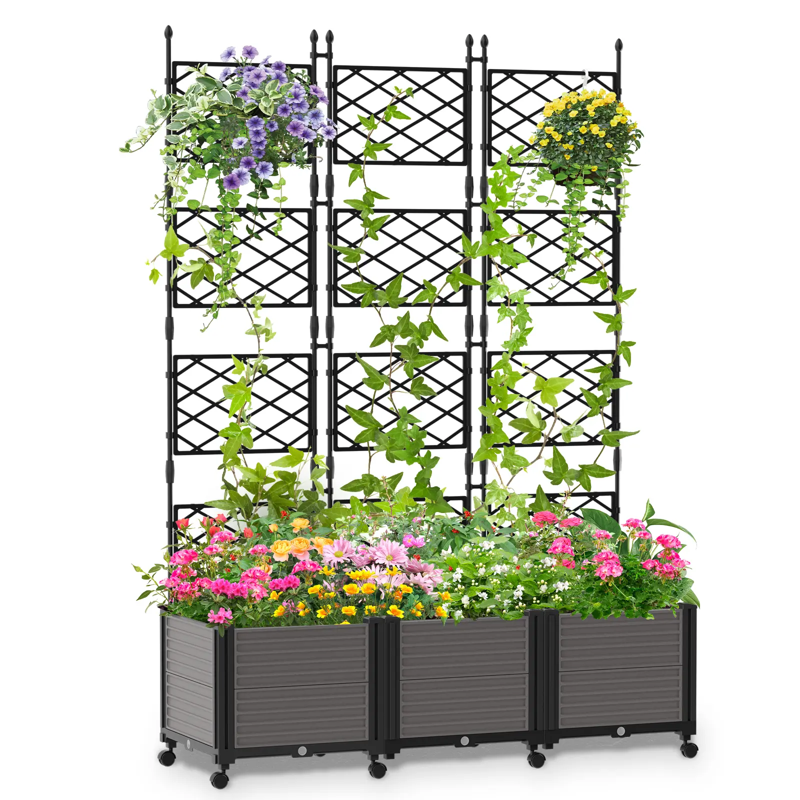 63"H x 49.6"L x 16.5"W