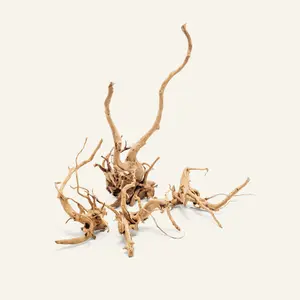 Spider Wood