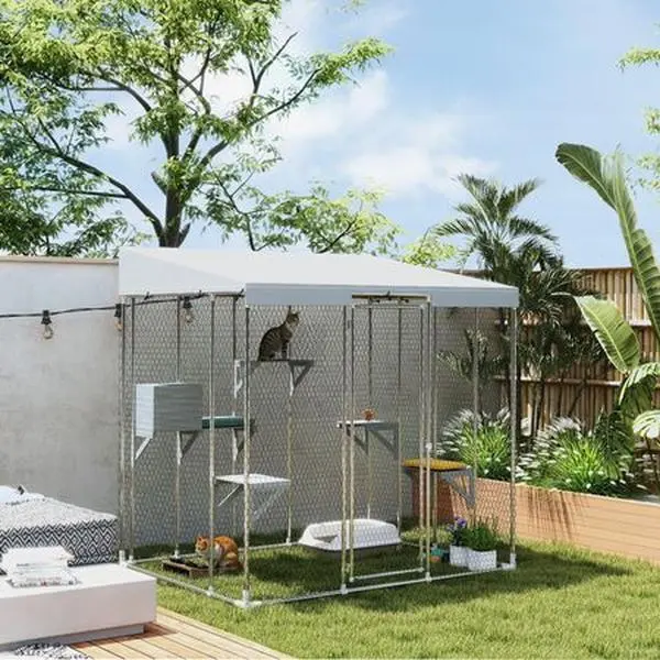 Spacious 32 Sq Outdoor Catio with Multiple Platforms and Sleeping Condo