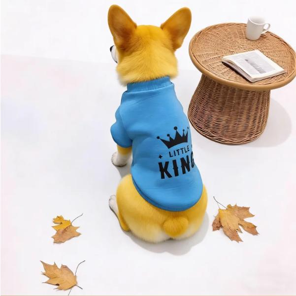 Crown Print Pet Sweatshirt for Dogs & Cats Soft Blue Pullover with Ribbed Cuffs Striped Letter Design Little King Theme