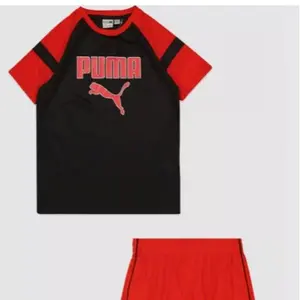 Last one Puma 2 Piece Black and Red Top and Short Set  Size L 12-14 NWT young man