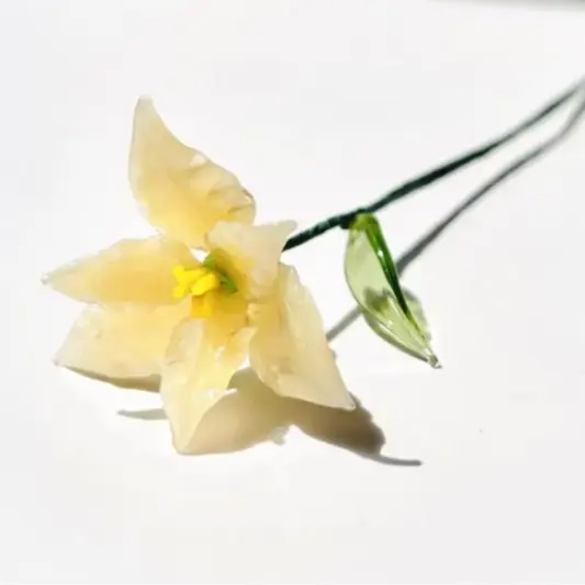 March Yellow Narcissus