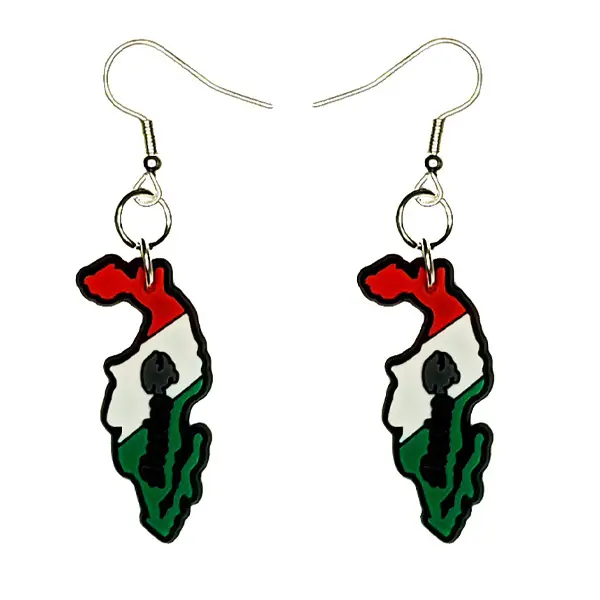 Mexico Flag Earrings Hypoallergenic Silver Plated Fishhooks Yazzle Dazzle Mexican Jalisco Sinaloa Oaxaca Cuisine Beach Ancient Ruins
