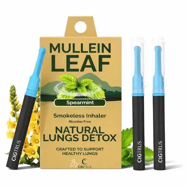 Cigtrus Mullein - Smokeless Inhaler, Quit Smoking Aid, Spearmint - 3 Pack