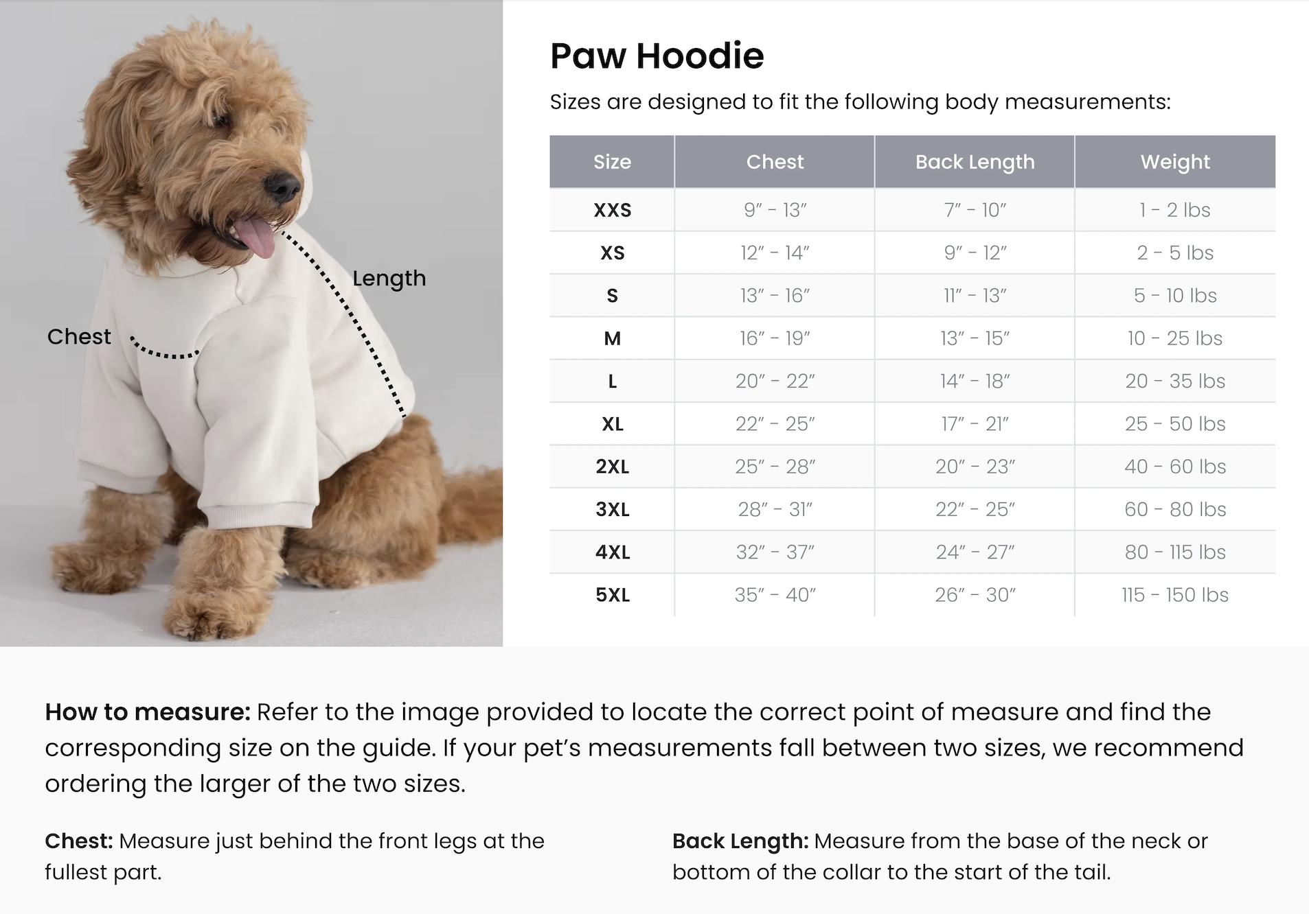 Comfrt Paws | You Matter Hoodie