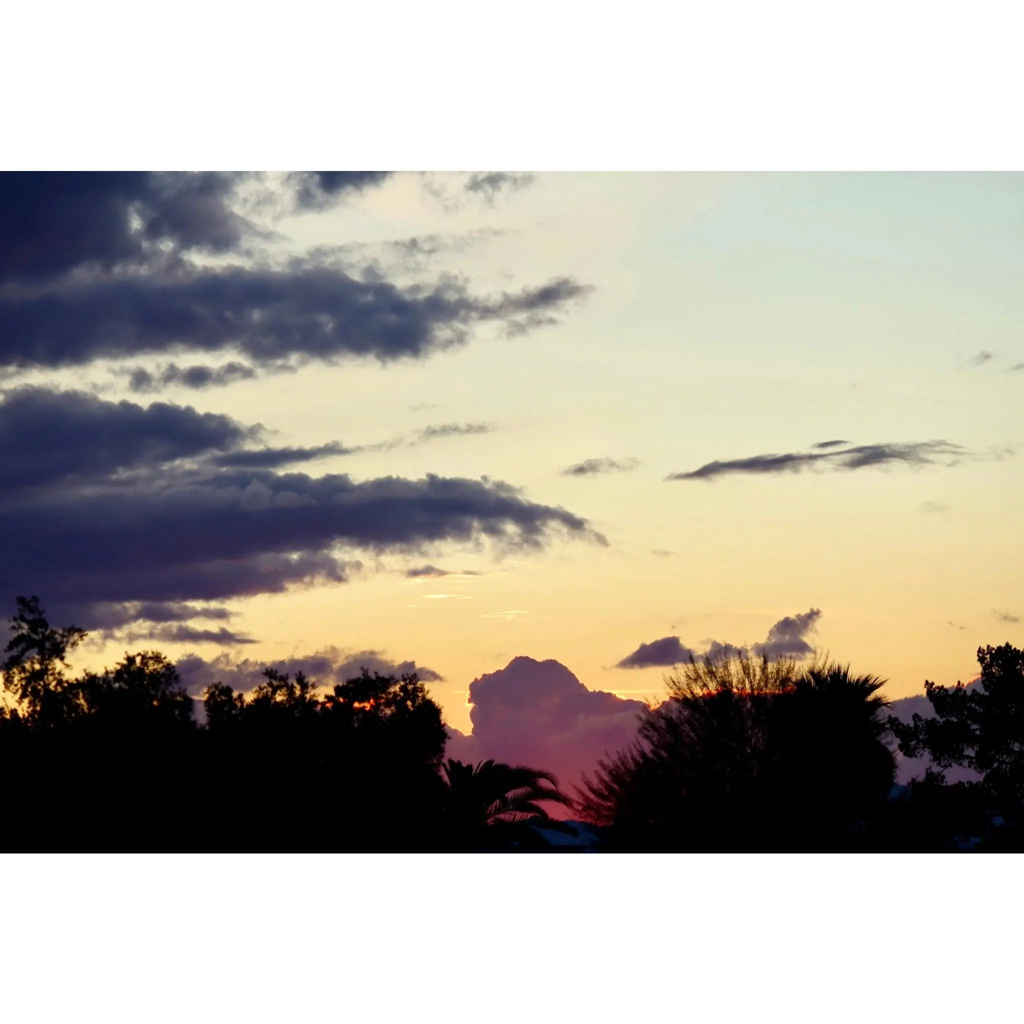 Gallery-Wrapped Canvas 16x20 — Fine Art Wall Art, Scottsdale