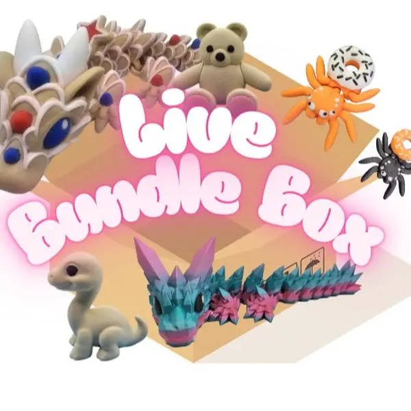 $70 Live Bundle Box of 3D Printed Figurines Decor Ornaments for Unique Collectible Items