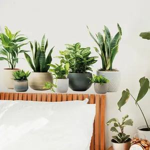 Plant Wall Sticker, Peel and Stick Removable Wall Art Decal, PVC Self-Adhesive, Living Room Bedroom Office Decor