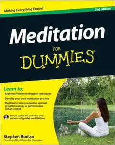 USED Book - Meditation for Dummies by Stephan Bodian (Paperback) - english