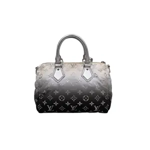 Pre-owned Louis Vuitton canvas Shoulder Bags Nylon Monogram Gradient Snow Speedy 25 Boston Bag (26462)