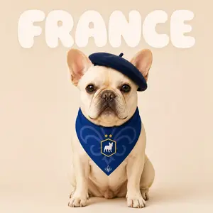 Fan Dog Bandana France Style, Elegant Triangle Scarf for Women, Perfect Accessory for Any Occasion, French Fashion Trendsetter
