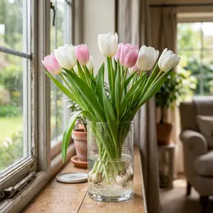 Easy Grow Tulip Bulbs for Home Garden Rare Dutch Tulip Seeds with Long Stem Beautiful Flowers Perfect for Spring & Fall Planting Indoor Outdoor Decoration