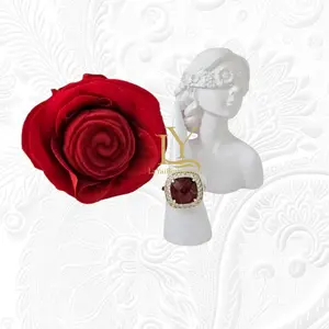 LaYaiBoutique #1610 14k gold-plated red stone ring, high quality