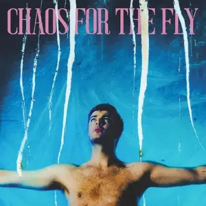 Grian Chatten - Chaos For The Fly  [COMPACT DISC - CD]