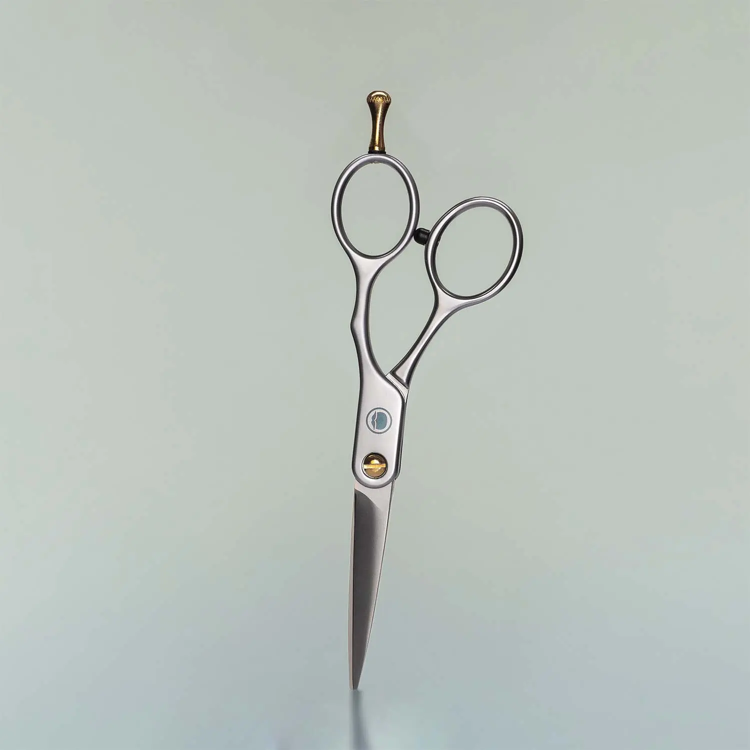 Beard Trimming Scissors Beard Trimming Scissors