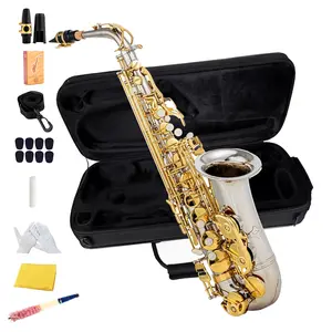 E-flat alto saxophone - box, mouthpiece, whistle, E-flat saxophone instruments