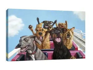Thrill Seekers by Lucia Heffernan