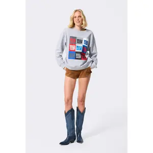 NY Giants Technicolor Crew in Collegiate Gray