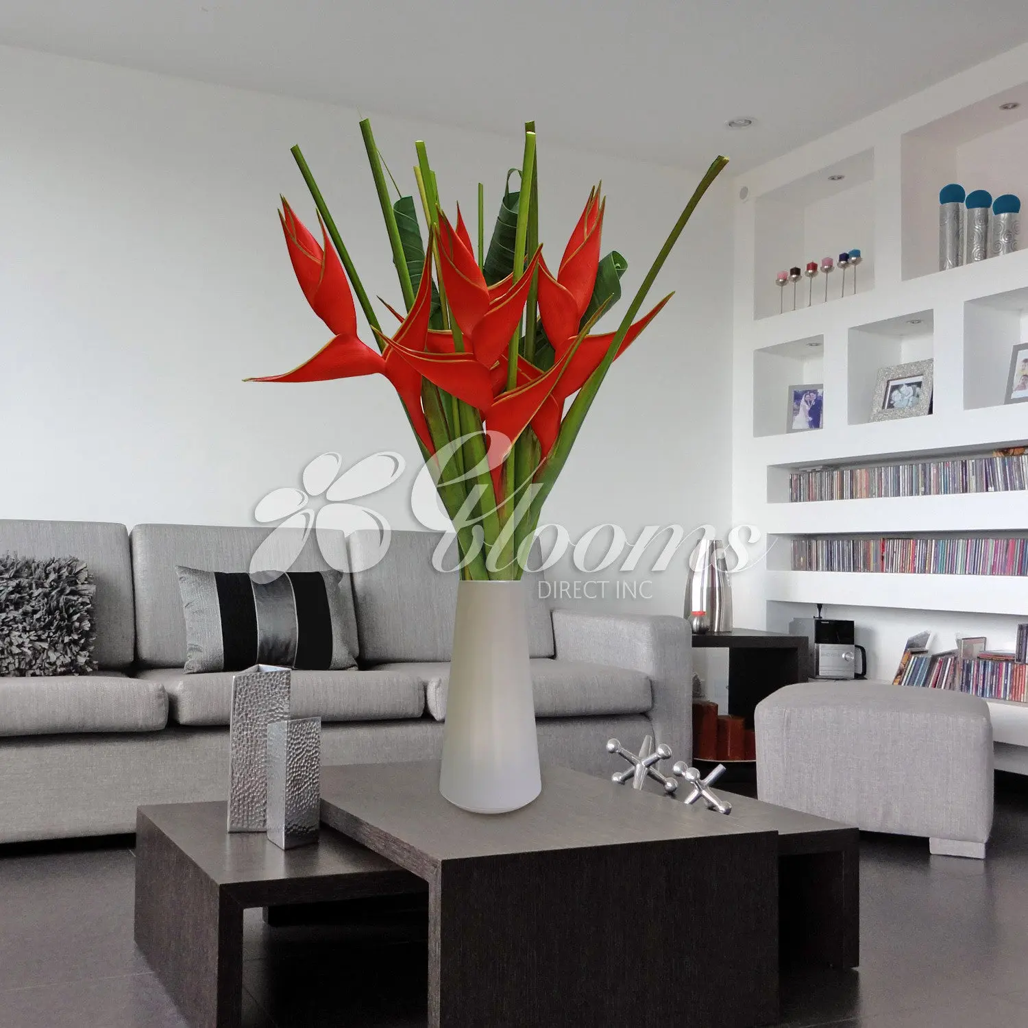 Perfection Fresh Tropical Bqt - Sleek & Chic Collection Jumbo Red Heliconias Floral Arrangement 80cm Stem Length Decor