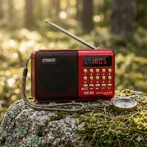 Portable Bluetooth Mini FM Radio, USB/TF MP3 Player with Hi-Fi Stereo, Rechargeable Handheld Music Player for Outdoor Sports, Travel, and Leisure