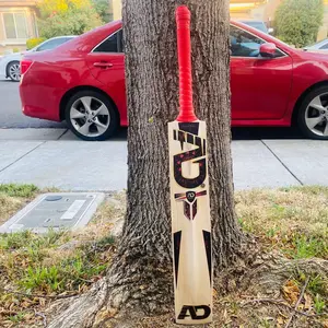 Player Edition English Willow Cricket Bat