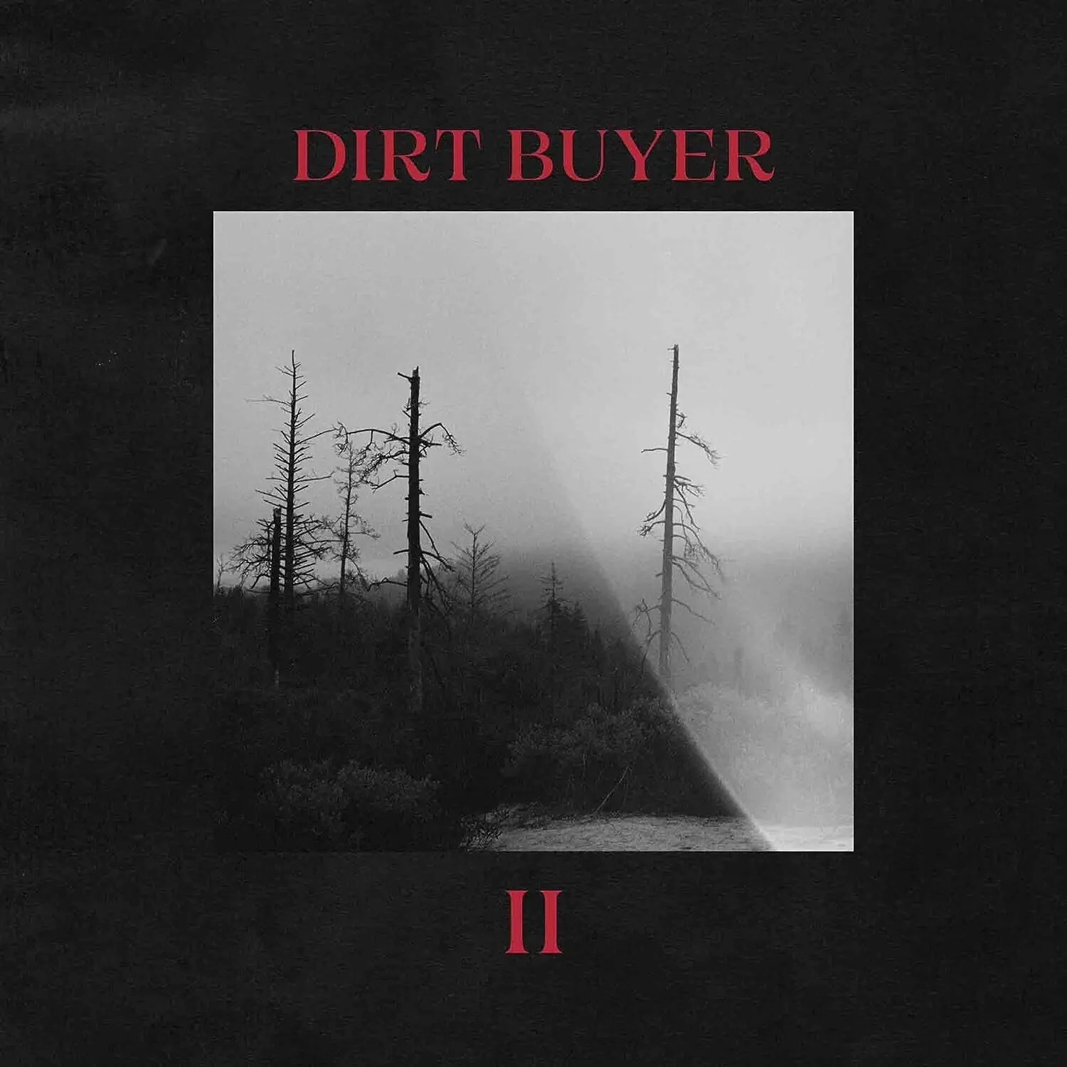 Dirt Buyer - Dirt Buyer Ii  [CASSETTES] Explicit