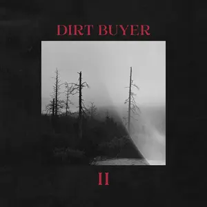Dirt Buyer - Dirt Buyer Ii  [CASSETTES] Explicit