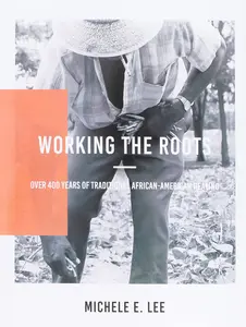 Working The Roots: Over 400 Years of Traditional African American Healing -- Michele Elizabeth Lee - Paperback