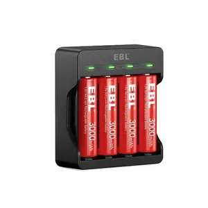 EBL 3000mAh AA & AAA Li-ion Batteries with 8-Slot USB Charger for High-Power Devices & Micro USB Cable Included