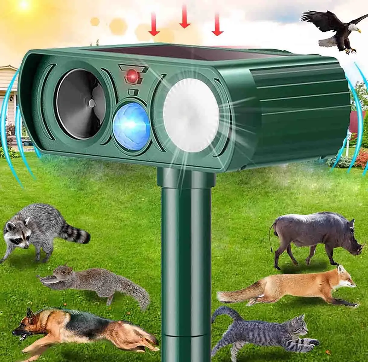Model 2026 Solar Ultrasonic + Function Animal Repeller, for outdoor use, equipped with flashing lights and motion sensor, can be used to repel animals such as deer, cats, squirrels, raccoons, rabbits, foxes, and skunks.