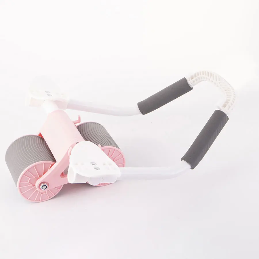 Pink -2 Wheels with Mat