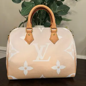Pre-owned Louis Vuitton leather Crossbody Bags Monogram Giant Speedy Bandouliere 25 Microshipped