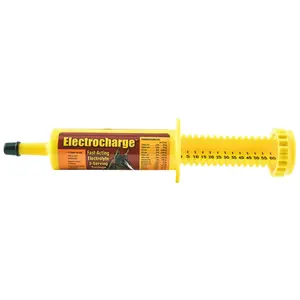 Electrocharge Electrolyte Paste for Horses