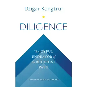 USED-Diligence: The Joyful Endeavor of the Buddhist Path by Kongtrul, Dzigar (Paperback)
